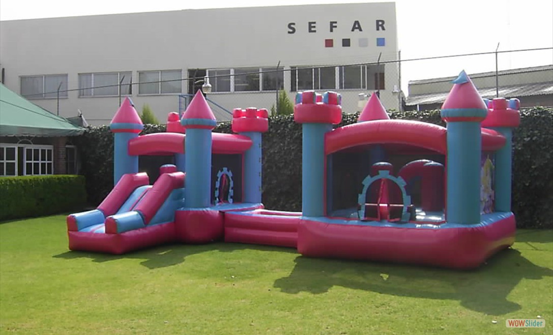 Combo Barbie & Princes