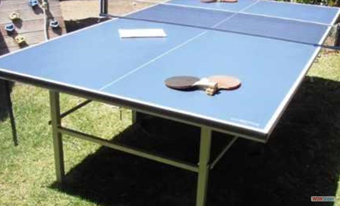 mesa_de_ping_pong