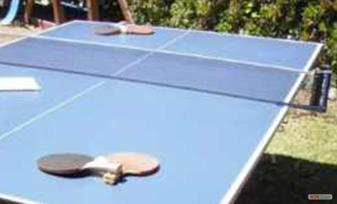 mesa_de_ping_pong2